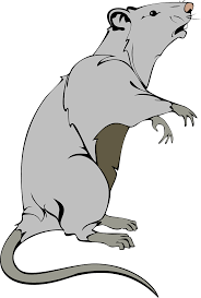 Tahoe City Pest Control Logo