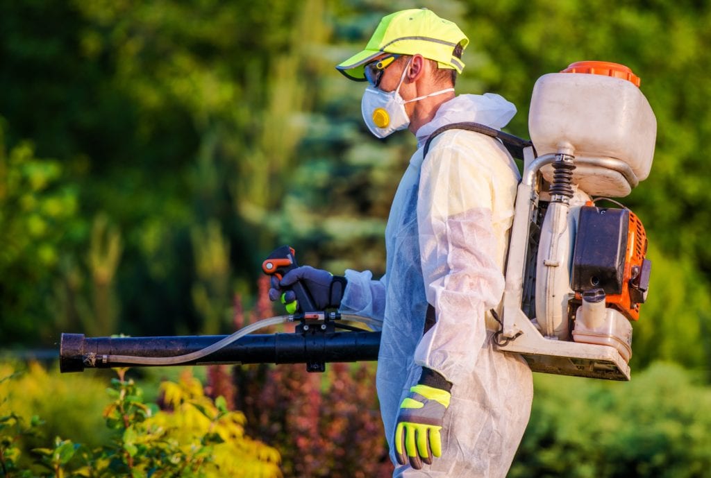 Ant Control Services Tahoe City