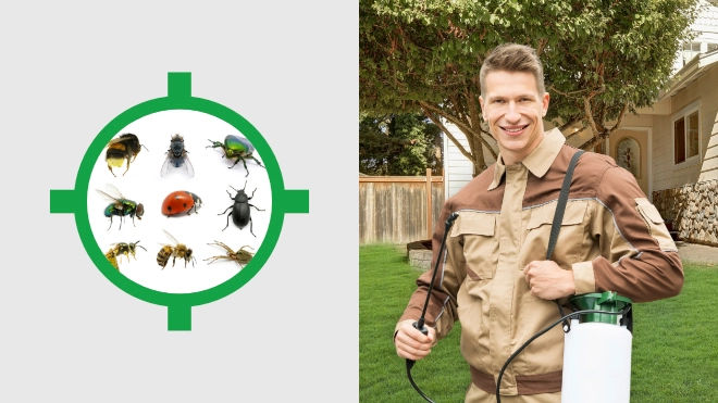 Tahoe City Pest Control Team